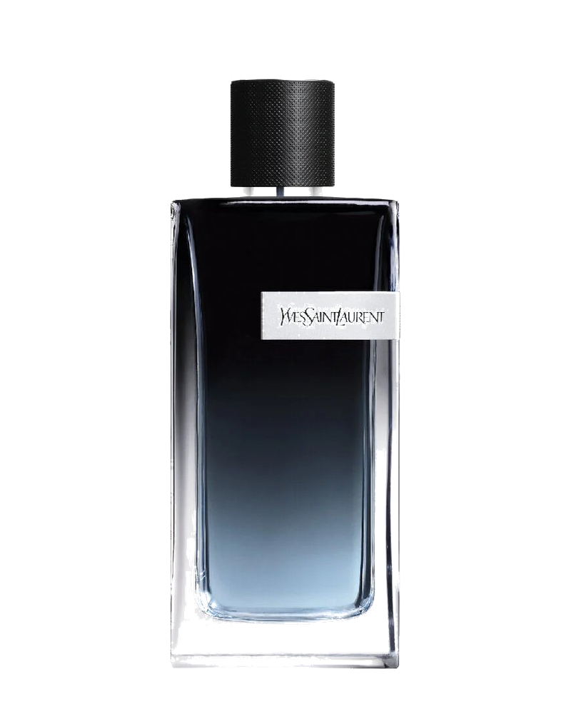 Y EDP No.4