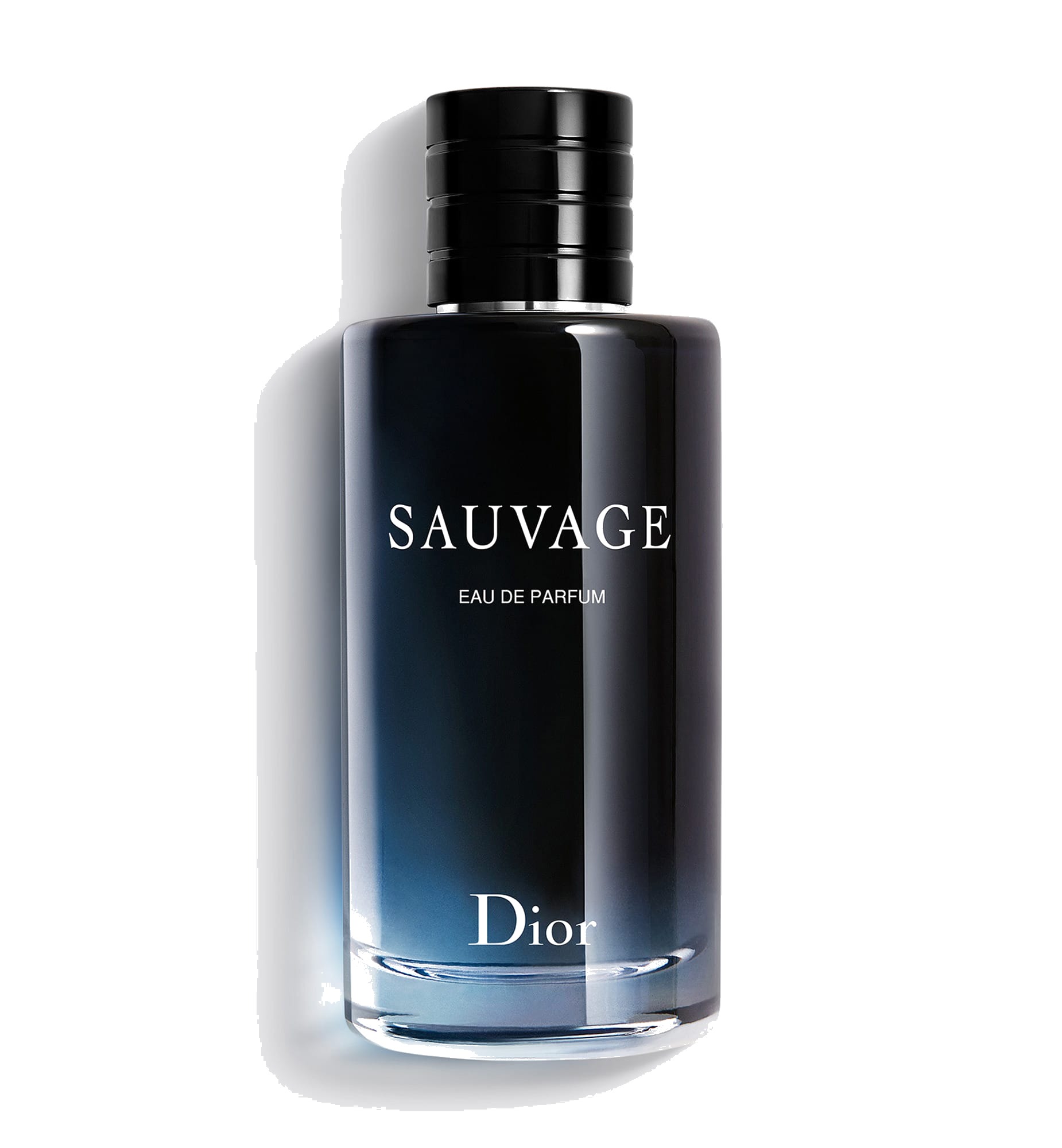Savage No. 6